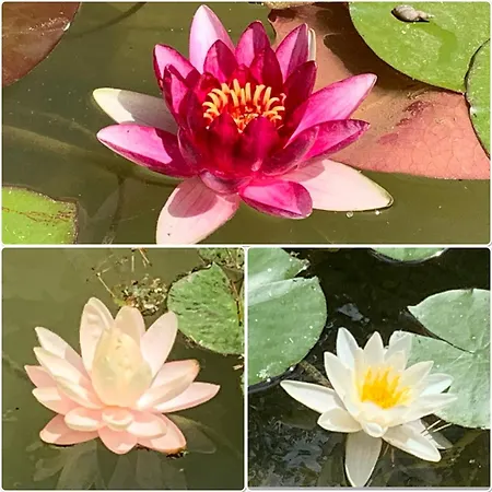 Villa La Divine & Spa, Vue Mer, Au Calme Avec Piscine Et Saint-Cyr-sur-Mer